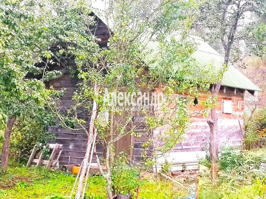 Продам дачу, Тихая ул, СНТ Расцвет Массива Замостье тер, 80 км от города