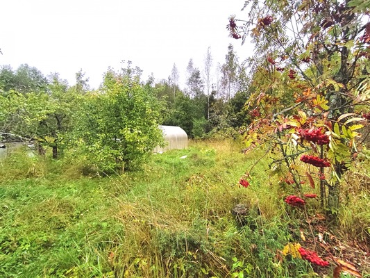 Продам дом, Риф тер. СНТ, Пупышево массив, 0 км от города