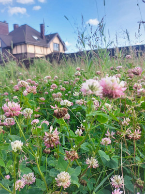 Продам дом, Осенняя ул, 10, Чехов г, 0 км от города