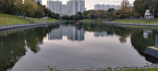 Продам однокомнатную (1-комн.) квартиру, Беловежская ул, 95, Москва г