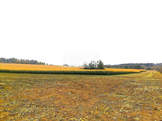 Продам участок 18 соток, ДНП, Коробицыно п, 90 км от города