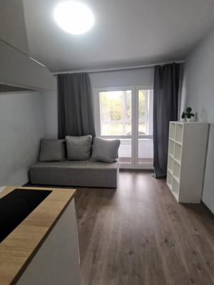 Продам однокомнатную (1-комн.) квартиру, Сухановская ул, 26, Лопатино рп