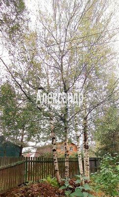 Продам дачу в поселке Куйвози-2, 7-я Линия (Невское тер. СНТ) ул, Куйвози д, 45 км от города