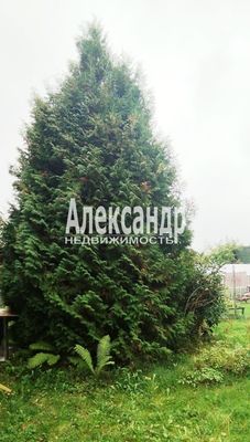Продам дачу в поселке Куйвози-2, 7-я Линия (Невское тер. СНТ) ул, Куйвози д, 45 км от города