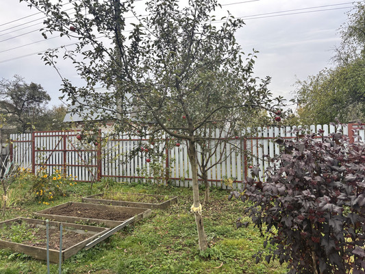 Продам дачу, Взлет тер. СНТ, 80, Речицы с, 0 км от города