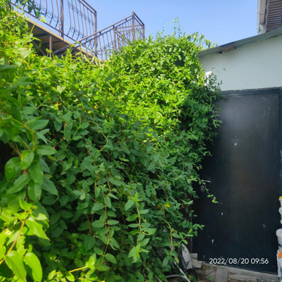 Продам дом, 14-й (Колос тер. СНТ) проезд, 14, Куток х, 0 км от города