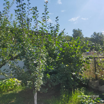 Продам дом, 14-й (Колос тер. СНТ) проезд, 14, Куток х, 0 км от города