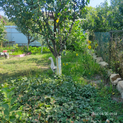 Продам дом, 14-й (Колос тер. СНТ) проезд, 14, Куток х, 0 км от города
