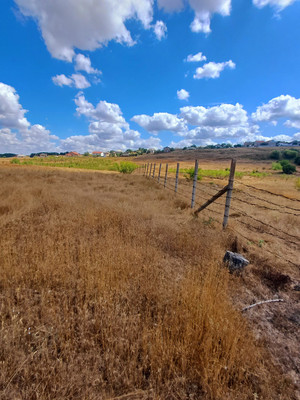 Продам участок 2 соток, ИЖС, Южная ул, Викторовка с, 0 км от города