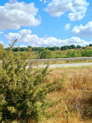 Продам участок 2 соток, ИЖС, Южная ул, Викторовка с, 0 км от города