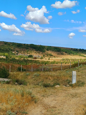 Продам участок 2 соток, ИЖС, Южная ул, Викторовка с, 0 км от города