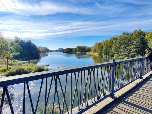 Продам трехкомнатную (3-комн.) квартиру, Заречная ул, 25, Полтево д