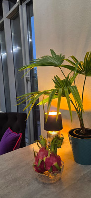 Сдам однокомнатную (1-комн.) квартиру, Саморы Машела ул, 2А, Москва г