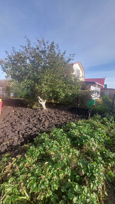 Продам дачу, Виктория тер. СНТ, 322, Уфа г, 0 км от города