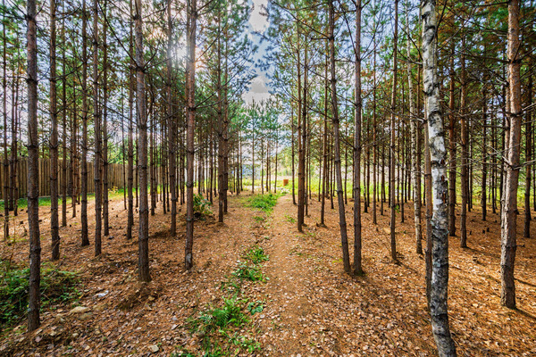 Продам дом, Радужная ул, 37, Сарапулка п, 40 км от города