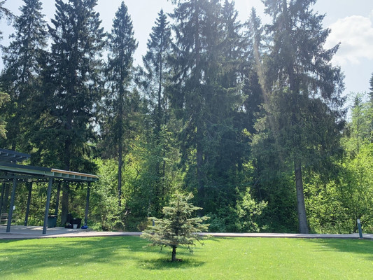 Продам участок 10 соток, Фермерское хоз., Часовня д, 0 км от города