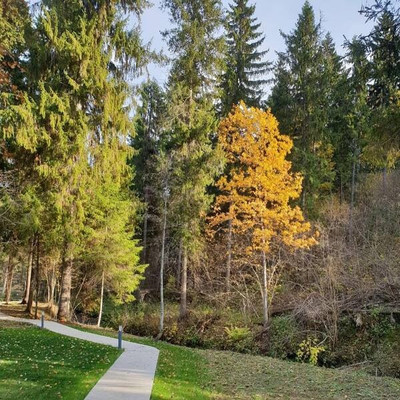 Продам участок 10 соток, Фермерское хоз., Часовня д, 0 км от города