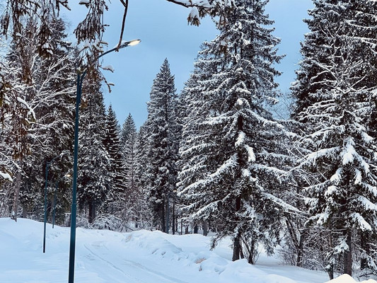 Продам участок 10 соток, Фермерское хоз., Часовня д, 0 км от города