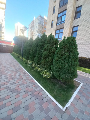 Продам однокомнатную (1-комн.) квартиру, Парковая ул, 61к4, Анапа г