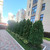 Продам однокомнатную (1-комн.) квартиру, Парковая ул, 61к4, Анапа г