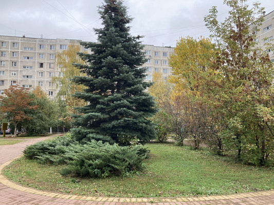 Продам трехкомнатную (3-комн.) квартиру, Красноармейская ул, 10, Раменское г