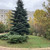 Продам трехкомнатную (3-комн.) квартиру, Красноармейская ул, 10, Раменское г