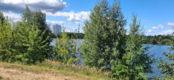 Продам однокомнатную (1-комн.) квартиру, Бурнаковская ул, 59, Нижний Новгород г