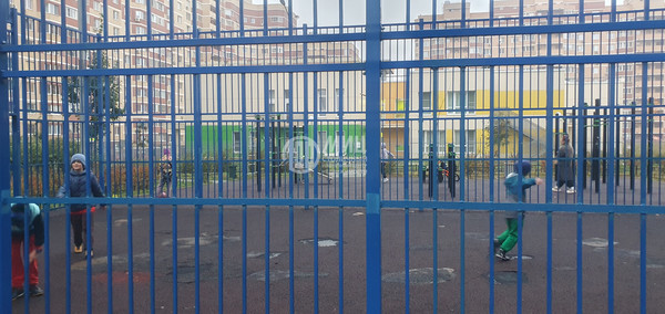 Продам однокомнатную (1-комн.) квартиру, Зеленые аллеи б-р, 17, Видное г