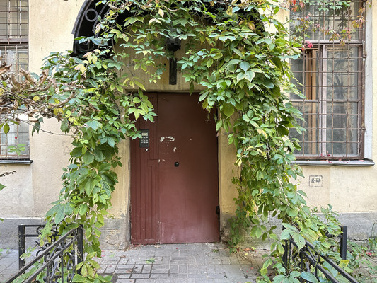 Продам двухкомнатную (2-комн.) квартиру, Маяковского ул, 1/96А, Санкт-Петербург г