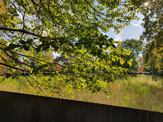 Продам землю для коммерческого использования 38,73 соток, Павлика Морозова ул, 94, Калининград г