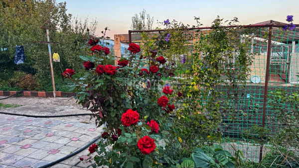 Продам дом, Кочубея ул, Красное Поле п, 0 км от города