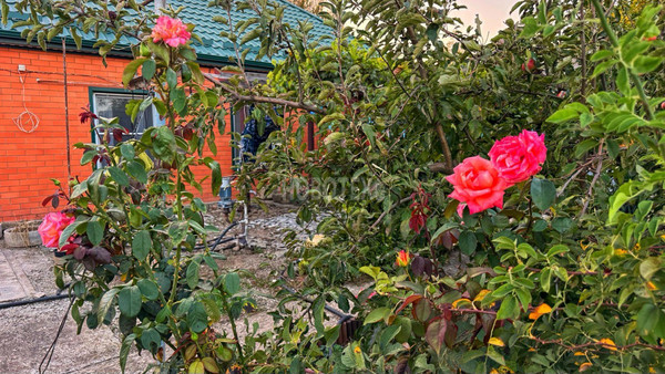 Продам дом, Кочубея ул, Красное Поле п, 0 км от города