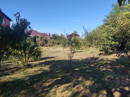 Продам участок 23,5 соток, ИЖС, Степная ул, 107, Старокорсунская ст-ца, 0 км от города