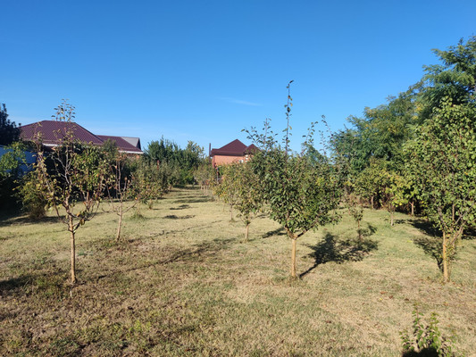 Продам участок 23,5 соток, ИЖС, Степная ул, 107, Старокорсунская ст-ца, 0 км от города