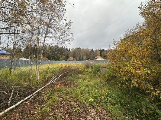 Продам участок 10,04 соток, Фермерское хоз., СПК Алешково тер, Чешково д, 0 км от города