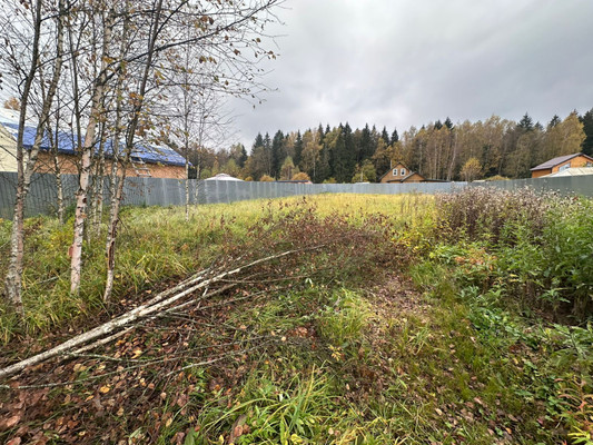 Продам участок 10,04 соток, Фермерское хоз., СПК Алешково тер, Чешково д, 0 км от города