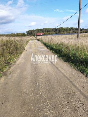 Продам участок 255 соток, Фермерское хоз., Лопухинка тер. СНТ, 65 км от города