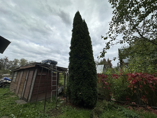 Продам дачу, Цыганка ул, Сотниково д, 0 км от города