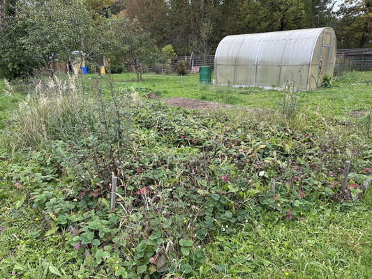 Продам дачу, Цыганка ул, Сотниково д, 0 км от города