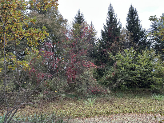 Продам дачу, Цыганка ул, Сотниково д, 0 км от города