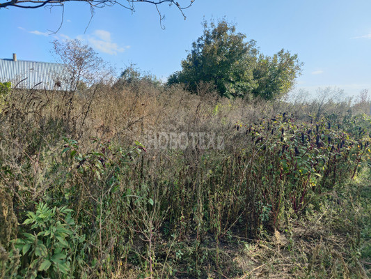 Продам участок 3 соток, ИЖС, Октябрьская ул, Львовское с, 0 км от города