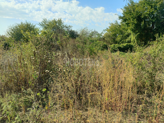 Продам участок 3 соток, ИЖС, Октябрьская ул, Львовское с, 0 км от города