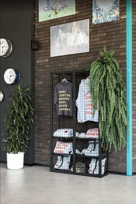 Сдам однокомнатную (1-комн.) квартиру, Орджоникидзе ул, 44Ак1, Санкт-Петербург г