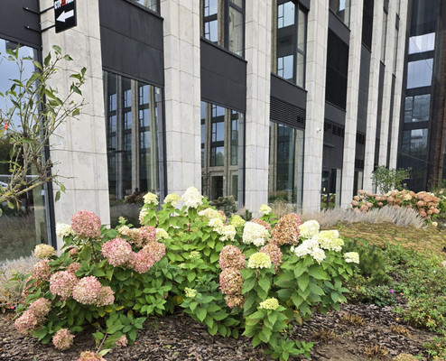 Продам двухкомнатную (2-комн.) квартиру, Генерала Дорохова пр-кт, 49, Москва г