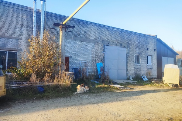 Сдам коммерческое помещение 500 м2, Объездная дорога ул, 8, Дегтярск г