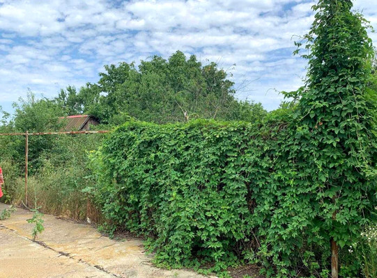 Продам дом, Веденеева ул, 26, Верхневеденеевский п, 0 км от города