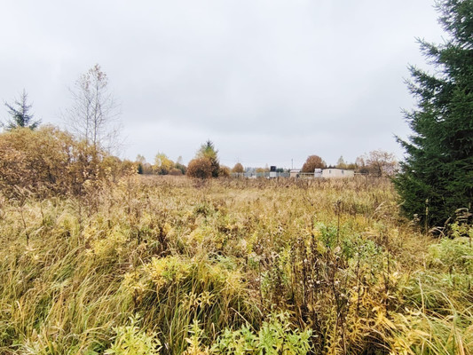 Продам участок 15 соток, ИЖС, Монаково д, 0 км от города