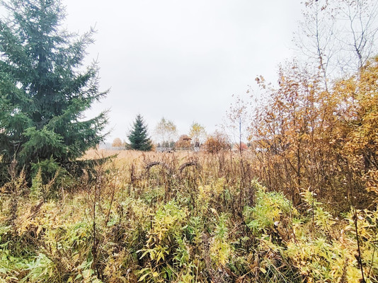 Продам участок 15 соток, ИЖС, Монаково д, 0 км от города