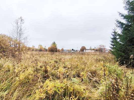 Продам участок 15 соток, ИЖС, Монаково д, 0 км от города