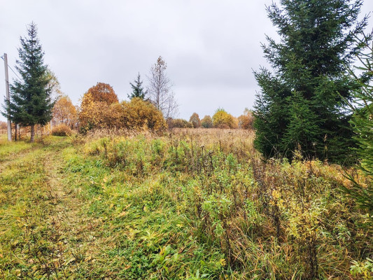 Продам участок 15 соток, ИЖС, Монаково д, 0 км от города